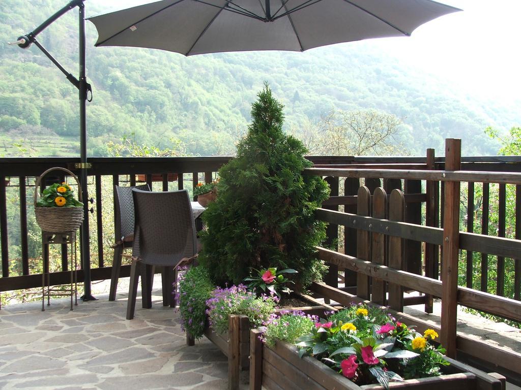 Antica Casa Ortensia ริวาเดลการ์ดา ภายนอก รูปภาพ