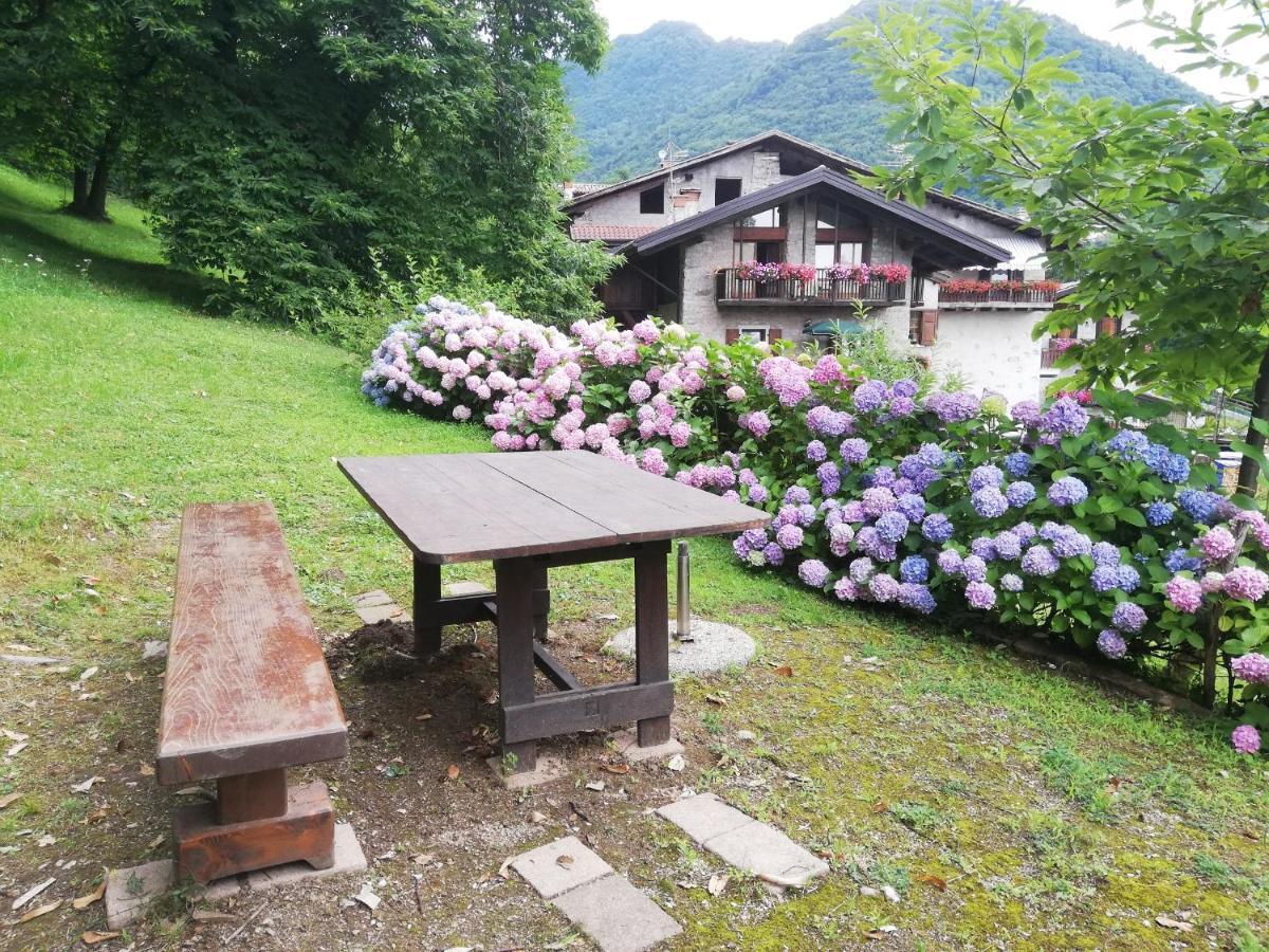 Antica Casa Ortensia ริวาเดลการ์ดา ภายนอก รูปภาพ